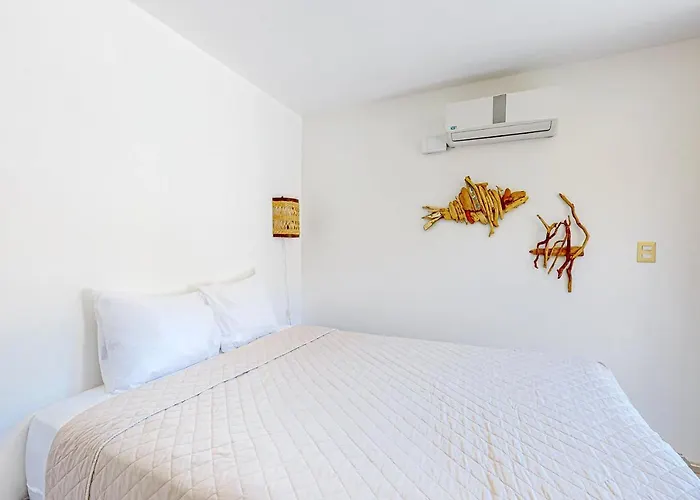 Casa Domus